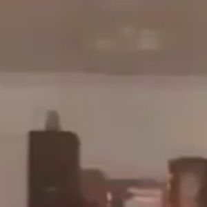 Meet your Posher, Shaun